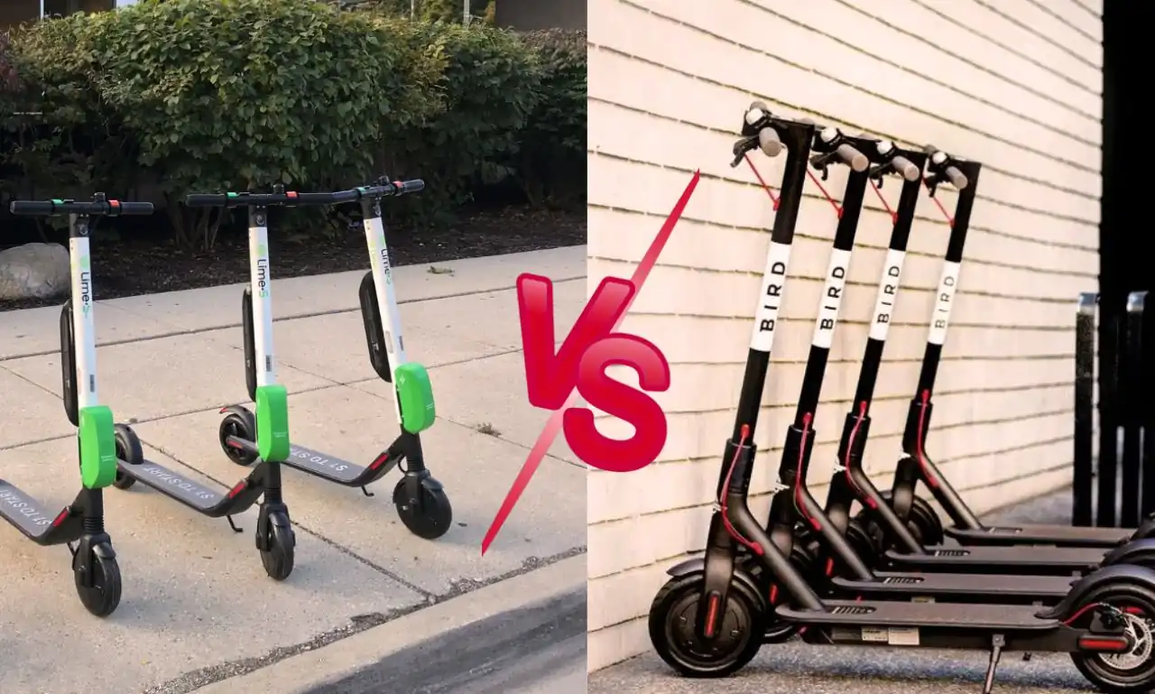 Lime Vs Bird Electric Scooter Which Is Better